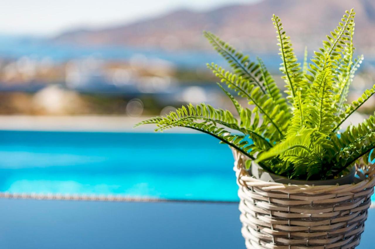 Oceania House With Sea View Villa Posidhonía Екстериор снимка